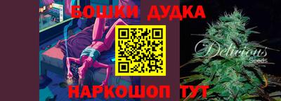 МДПВ Моздок