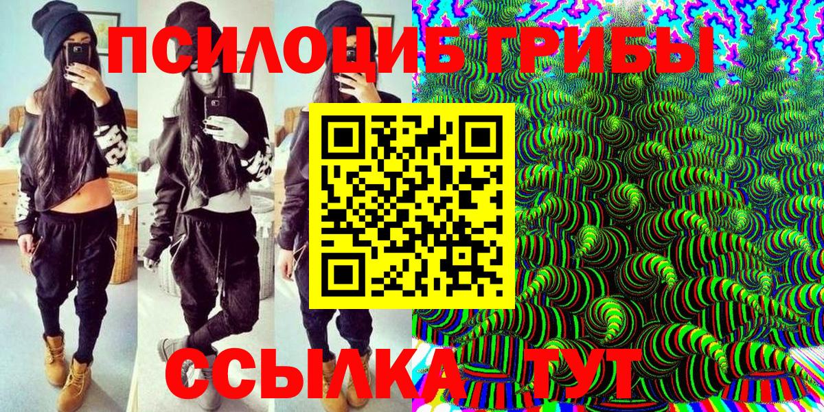 Галлюциногенные грибы Psilocybine cubensis  Галлюциногенные грибы Psilocybine cubensis  Барабинск 