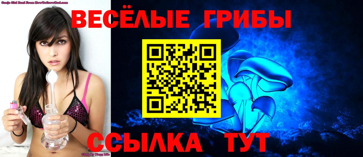 Псилоцибиновые грибы Cubensis Барабинск